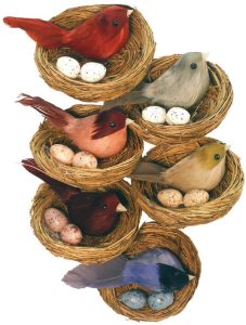 Chickadee in Nest w/Eggs
