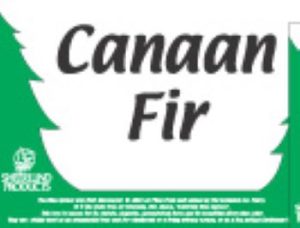 Canaan Fir Sign