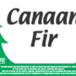 Canaan Fir Sign