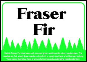 Fraser Fir Sign