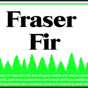 Fraser Fir Sign