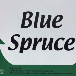 Blue Spruce Sign