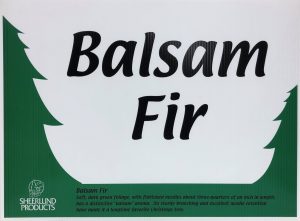 Balsam Fir Sign
