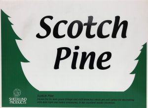 Scotch Pine Sign