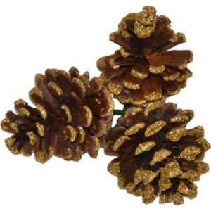 Small Frosted Pine Cone 2 - Sheerlund Products LLC