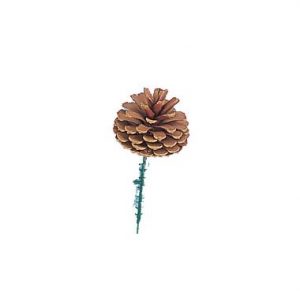 Small Pine Cone w/Pick  2″