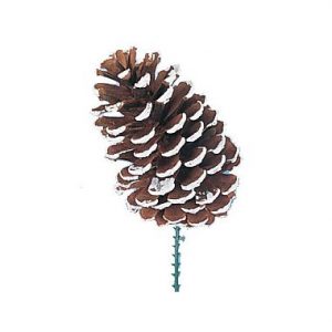 Large Frosted Pine Cone w/Pick 5″