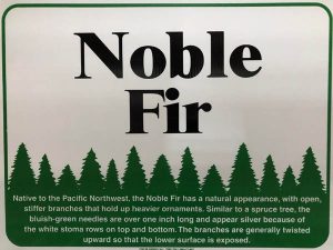 Noble Fir Sign