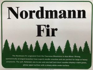 Nordman Fir Sign