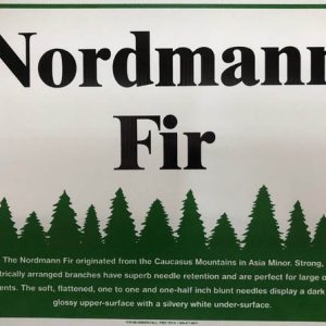 Nordman Fir Sign