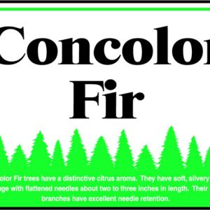 Concolor Fir Sign