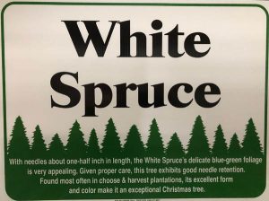 White Spruce Sign